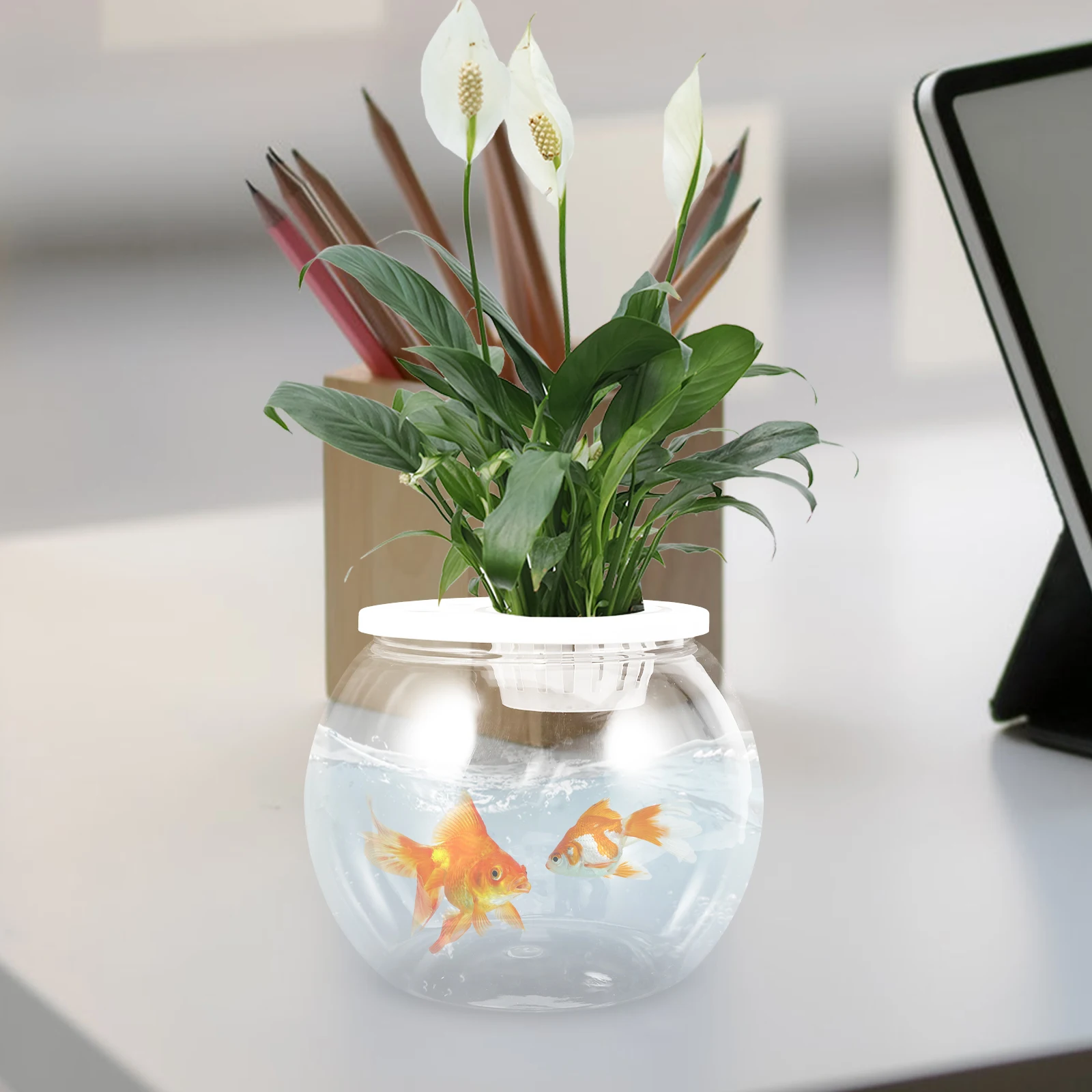 Креативная настольная рыбка, прозрачный пластиковый Бетта, небольшой космический офисный декор, аквариум, утолщенный резервуар для воды для 
Креативная настольная рыбка, прозрачный пластиковый Бетта, небольшой космический офисный декор, аквариум, утолщенный резервуар для воды для