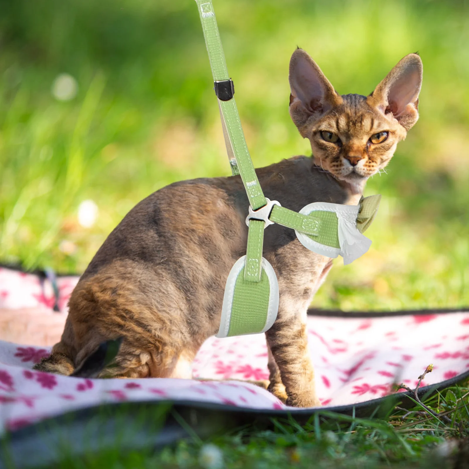 Lightweight Pet Leash Breathable Chest Harness Durable Portable Design Versatile Use Small Medium Dogs Cats Soft Dog Harness
Lightweight Pet Leash Breathable Chest Harness Durable Portable Design Versatile Use Small Medium Dogs Cats Soft Dog Harness