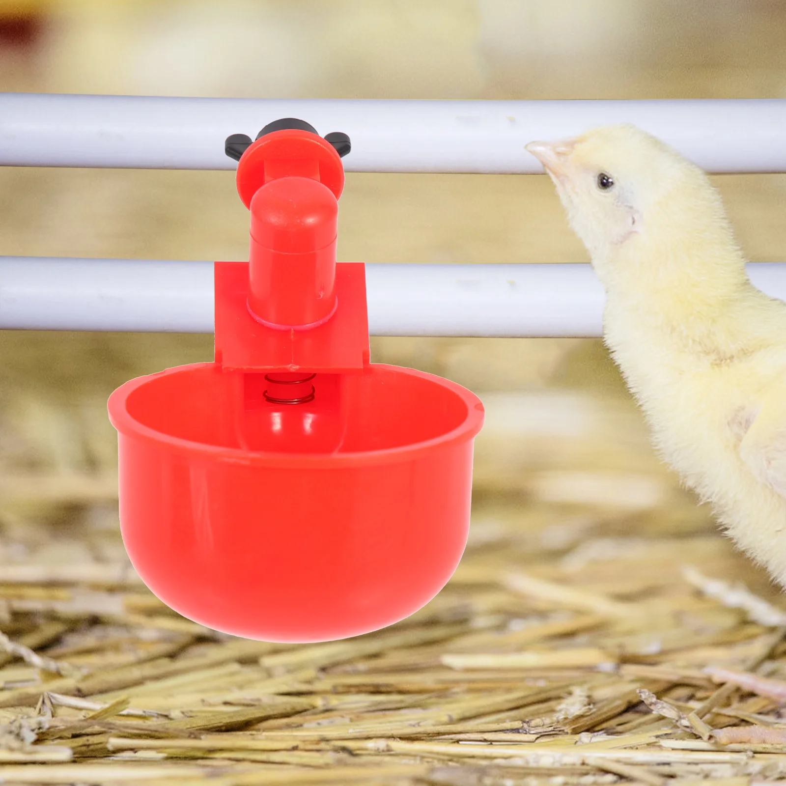 1Set Automatic Chicken Water Feeder Durable Plastic Poultry Water Cups Bucket Connector for Pigeon Quail Chicken Bird Farming
1Set Automatic Chicken Water Feeder Durable Plastic Poultry Water Cups Bucket Connector for Pigeon Quail Chicken Bird Farming