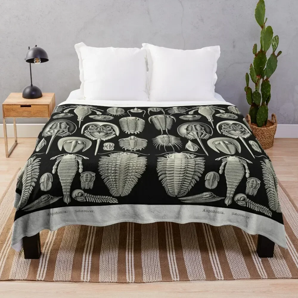 Plate 47. Trilobites and Sea Scorpions Throw Blanket Luxury St Beautifuls Picnic Cute Blankets
Plate 47. Trilobites and Sea Scorpions Throw Blanket Luxury St Beautifuls Picnic Cute Blankets