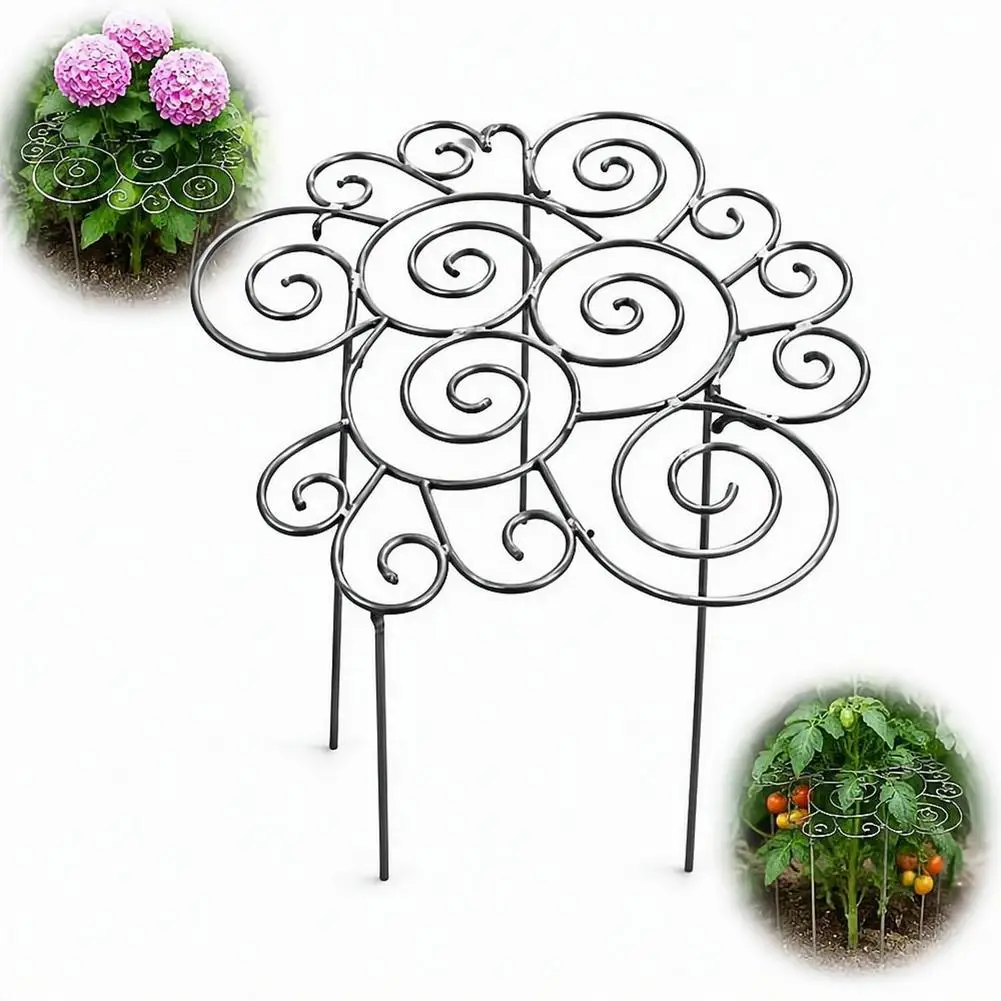3-Size Iron Plant Support Ring Se 27.5/40.5/44cm for Peonies Hydrangeas Sturdy Garden Stakes
3-Size Iron Plant Support Ring Se 27.5/40.5/44cm for Peonies Hydrangeas Sturdy Garden Stakes