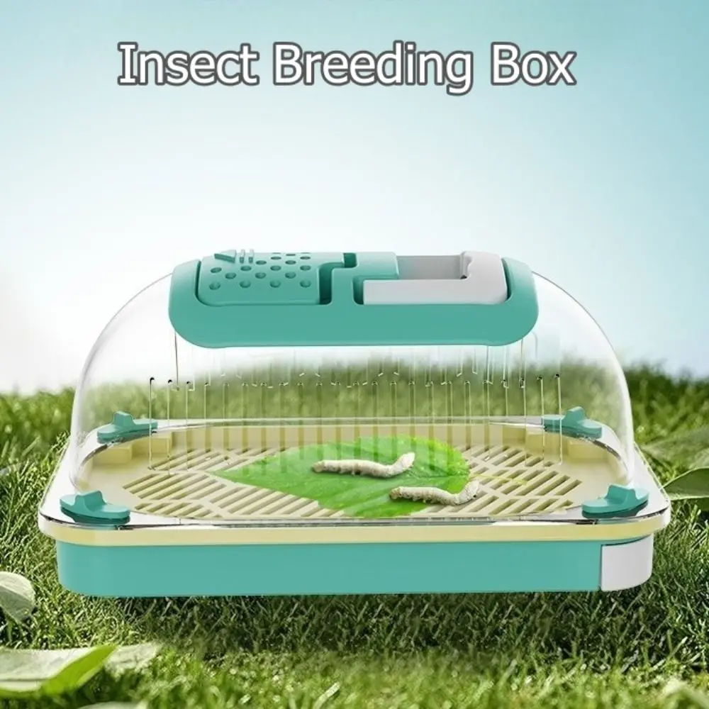 Hand-held Insect Breeding Box Large Capacity Breathable Reptiles Observation Boxes Silkworms Snails Lizards Carrying Case
Hand-held Insect Breeding Box Large Capacity Breathable Reptiles Observation Boxes Silkworms Snails Lizards Carrying Case