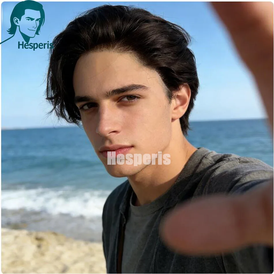 Hesperis Men's Glueless Short Cut Wig #2 Dark Brown Lace Front Remy Human Hair Replacement Wig For Men Lace Front Human Hair Wig
Hesperis Men's Glueless Short Cut Wig #2 Dark Brown Lace Front Remy Human Hair Replacement Wig For Men Lace Front Human Hair Wig
