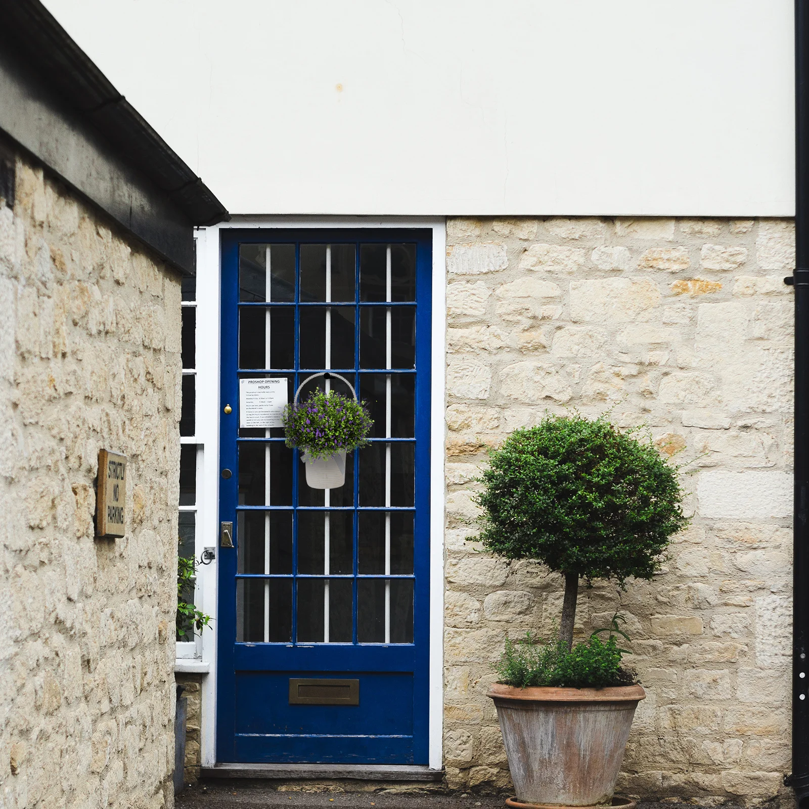 3Pcs Imitation Rattan Flower Baskets Hanging Wall Decor for Home Garden Plastic Planters Storage Basket Housewarming Gift
3Pcs Imitation Rattan Flower Baskets Hanging Wall Decor for Home Garden Plastic Planters Storage Basket Housewarming Gift