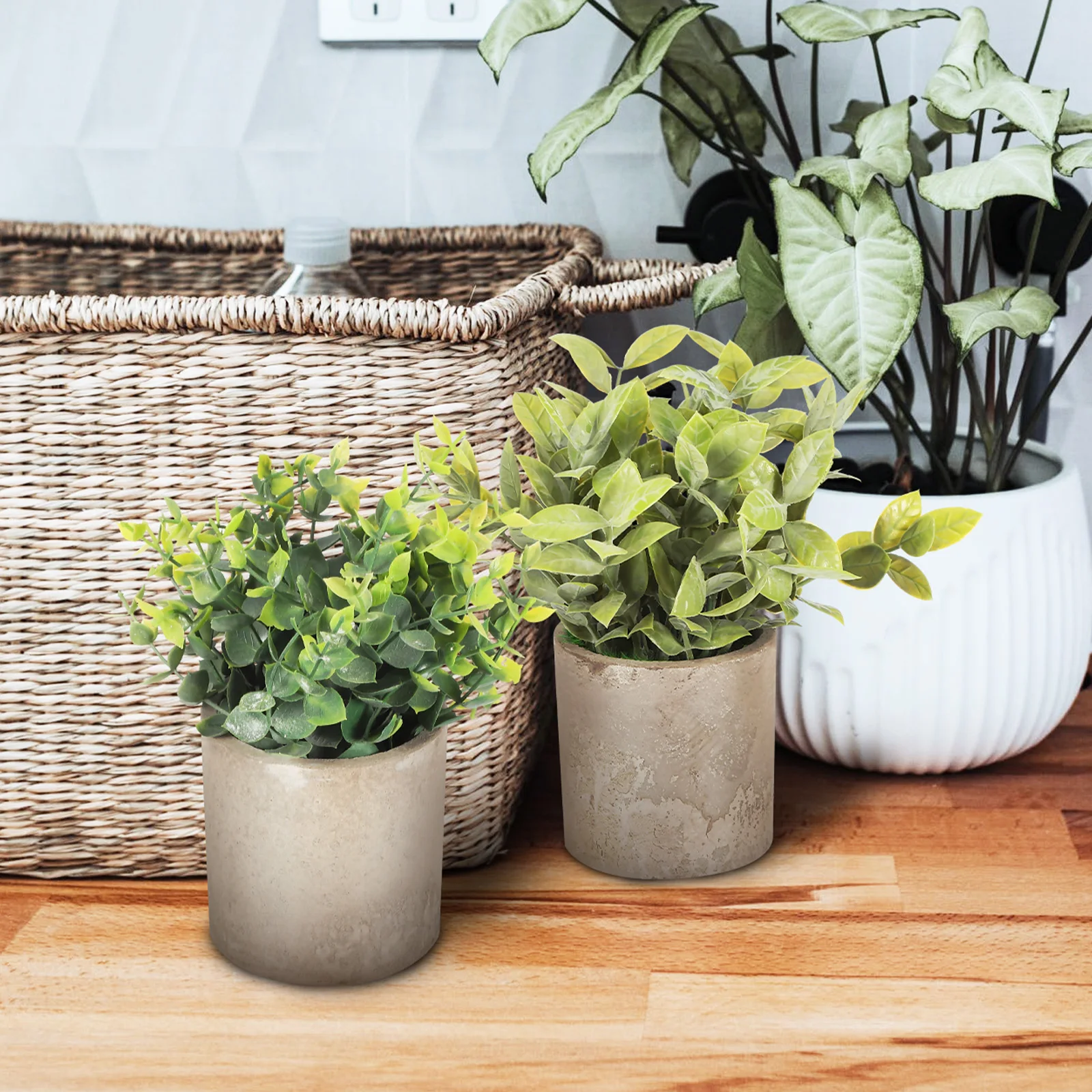 3 Pcs Simulated Plant Potted Set Fake Plants Artificial Home Decor Indoor Household Pulp Office
3 Pcs Simulated Plant Potted Set Fake Plants Artificial Home Decor Indoor Household Pulp Office