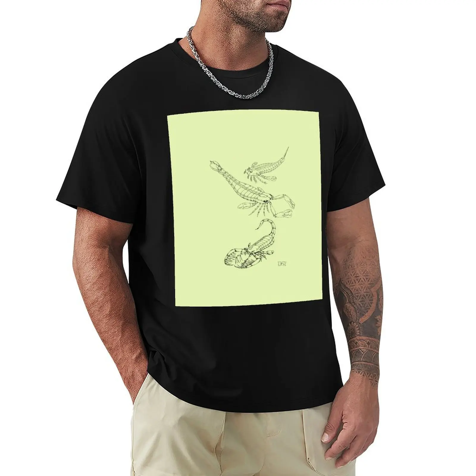 Eurypterids T-Shirt new gifts and t-shirts summer clothes anime shirt anime shirts men
Eurypterids T-Shirt new gifts and t-shirts summer clothes anime shirt anime shirts men