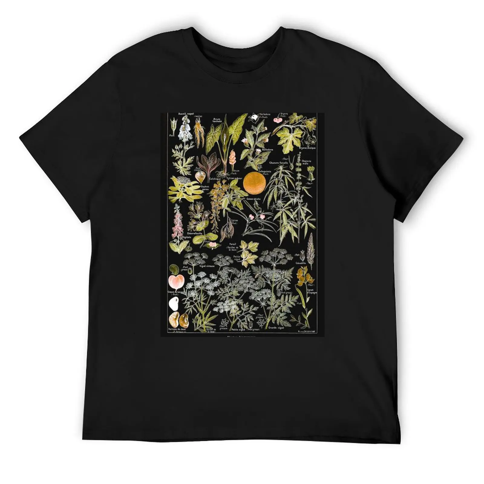 Adolphe Millot - Plantes dangereuses B (dangerous plants B) T-Shirt cute tops Short sleeve tee compression shirt men
Adolphe Millot - Plantes dangereuses B (dangerous plants B) T-Shirt cute tops Short sleeve tee compression shirt men