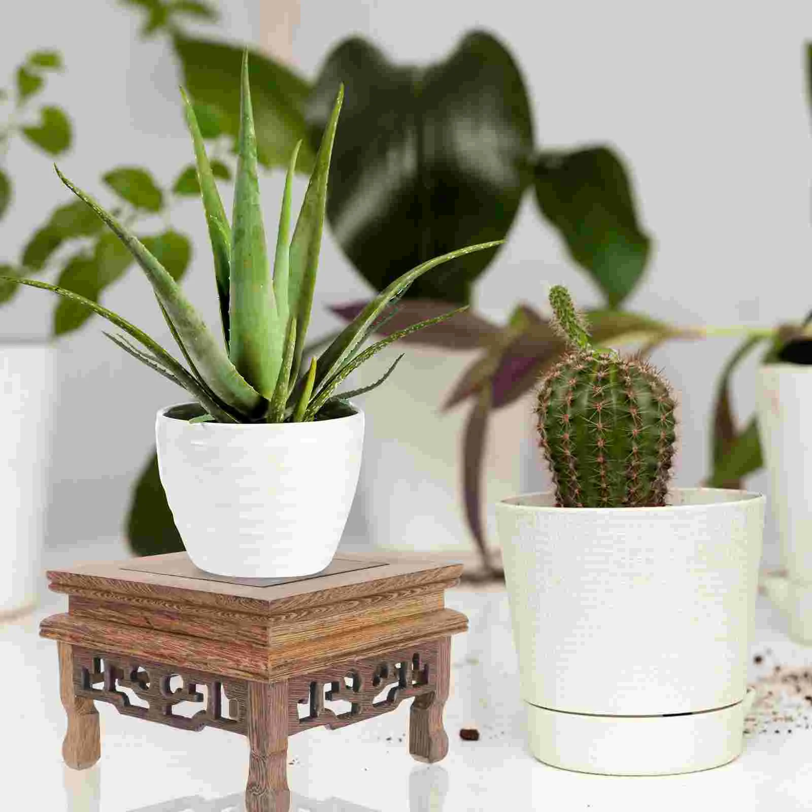 Indoor Plants Planter Stand Home Decor Flower Pot Base Houseplant Pots Coffee Office
Indoor Plants Planter Stand Home Decor Flower Pot Base Houseplant Pots Coffee Office
