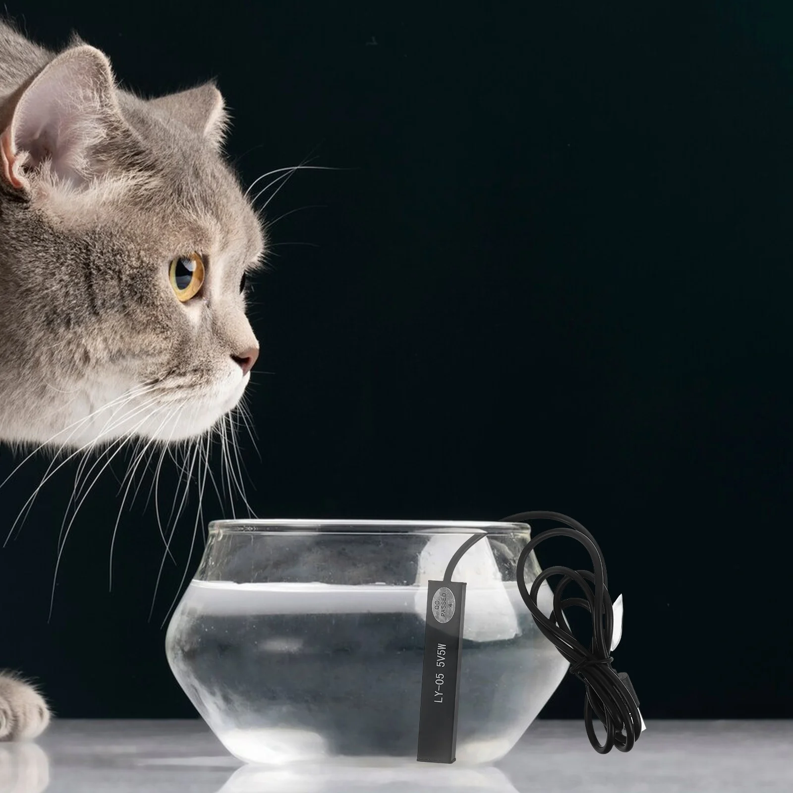 USB Powered 5W Mini Heater for Fish Tank Automatic Temperature Control Compact Design Small Aquariums Turtles Suction Cup
USB Powered 5W Mini Heater for Fish Tank Automatic Temperature Control Compact Design Small Aquariums Turtles Suction Cup