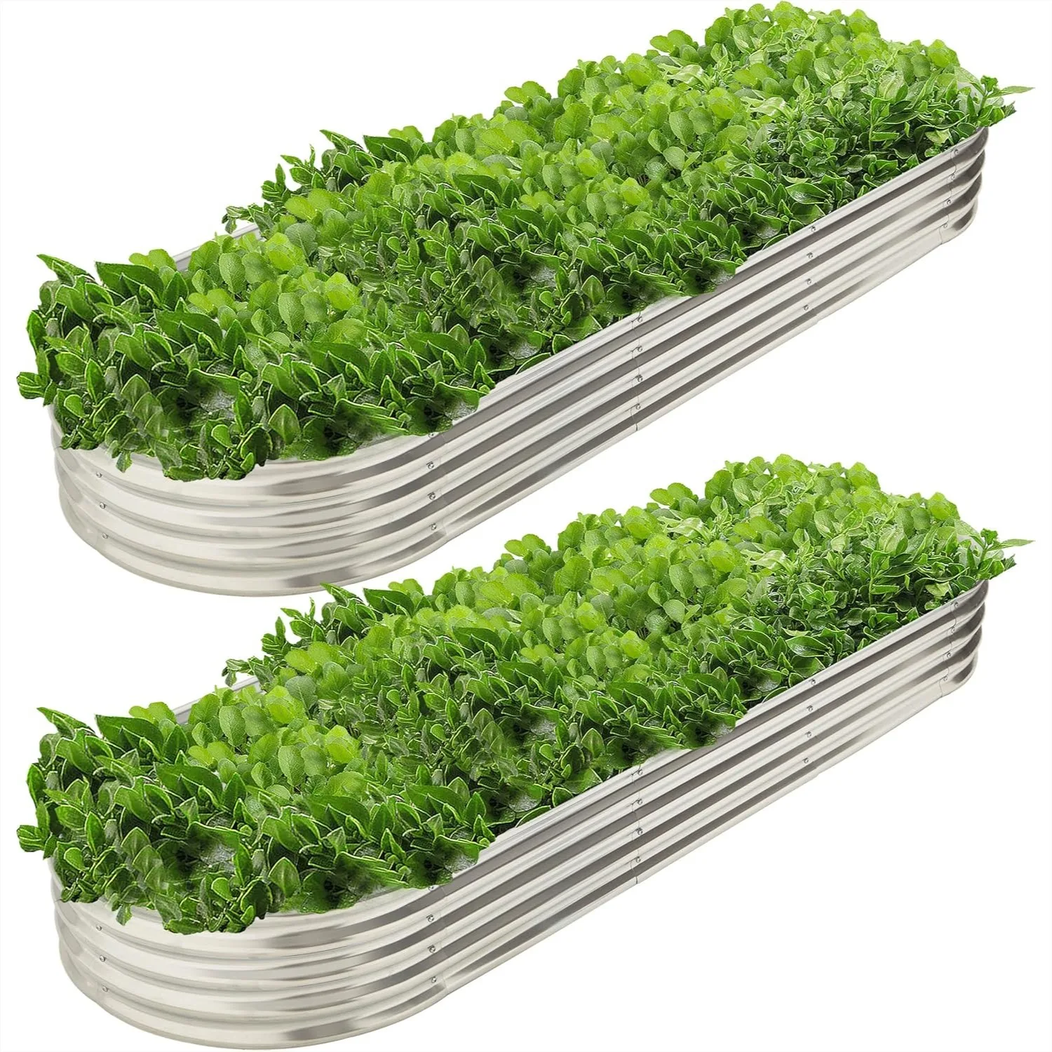 Metal Oval Raised Garden Bed Planter 9x3 ft, Galvanized 2 Pack for Vegetables Flowers
Metal Oval Raised Garden Bed Planter 9x3 ft, Galvanized 2 Pack for Vegetables Flowers