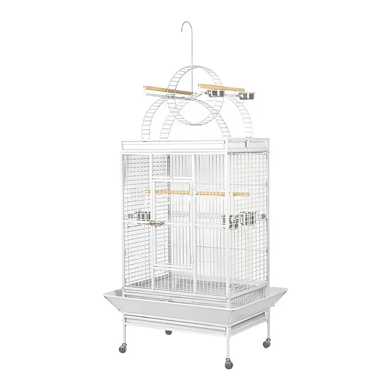 Extra Large Stainless Steel Bird Cage Solid Pattern Design with Button Closure for Villa Parrot Breeding
Extra Large Stainless Steel Bird Cage Solid Pattern Design with Button Closure for Villa Parrot Breeding
