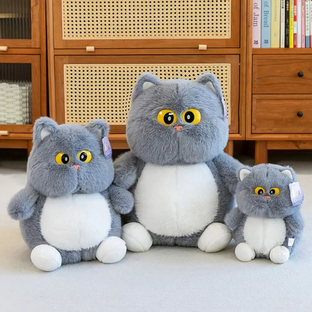 Stuffed Toys Cartoon Big Eyes Cat Plush Doll Fluffy Soft Cat Plush Toy Cute Kawaii Cat Stuff Doll Birthday
Stuffed Toys Cartoon Big Eyes Cat Plush Doll Fluffy Soft Cat Plush Toy Cute Kawaii Cat Stuff Doll Birthday