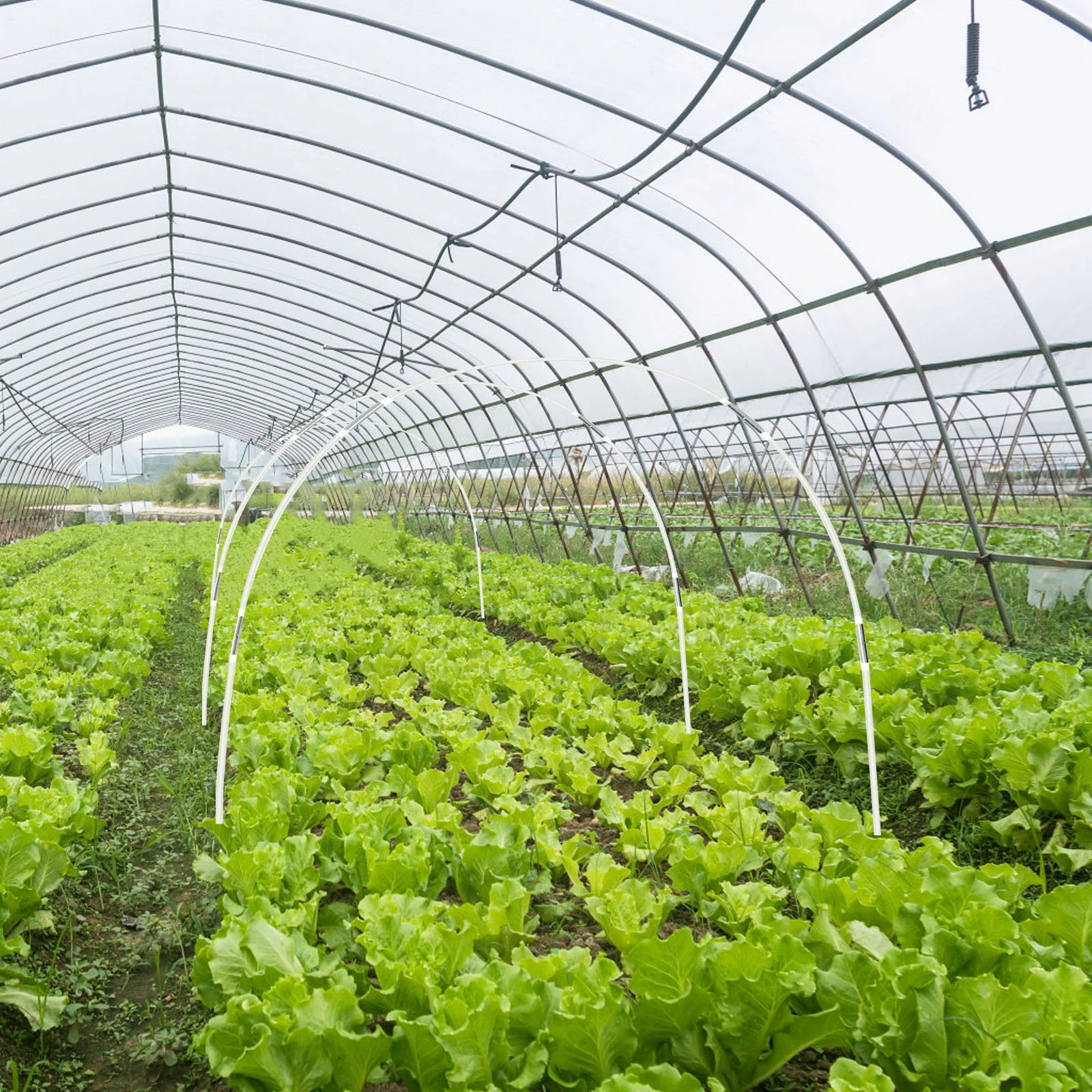 Greenhouse Plant Stands Banner Racks Hook up Growing Frame Gardening Tunnel Pp Support for
Greenhouse Plant Stands Banner Racks Hook up Growing Frame Gardening Tunnel Pp Support for