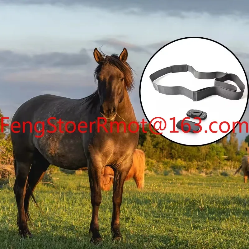 BT5.0 ANT+Horse Heart Rate Monitoring Belt
BT5.0 ANT+Horse Heart Rate Monitoring Belt