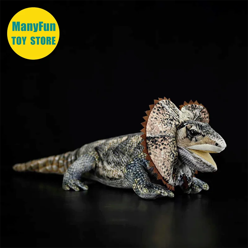 Lifelike Frilled Lizard Plush Toy - Realistic Frilled Dragon Stuffed Animal, Frilled-neck Lizard Plushie, Reptile Clown Lizard
Lifelike Frilled Lizard Plush Toy - Realistic Frilled Dragon Stuffed Animal, Frilled-neck Lizard Plushie, Reptile Clown Lizard