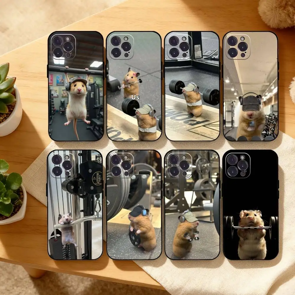 Cute G-Gym H-Hamster Phone Case For iPhone17,16,15,14,13,12,Plus,Pro Max, 5G Others Soft Black Cover
Cute G-Gym H-Hamster Phone Case For iPhone17,16,15,14,13,12,Plus,Pro Max, 5G Others Soft Black Cover