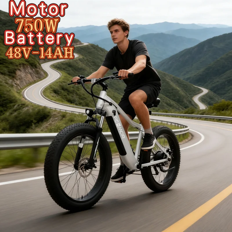 26inch 4.0 fat tire off-road E-Bike 750 high-speed mechanical brake motor electric bicycle,48V14ah all-terrain electric bicycle
26inch 4.0 fat tire off-road E-Bike 750 high-speed mechanical brake motor electric bicycle,48V14ah all-terrain electric bicycle