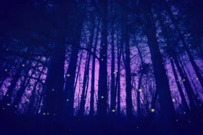 4pcs 1.9'' Soft Rubber All Terrain Crawler Tyres for 1:10 Crawler Car Trxs TRX4 Axial SCX10 II RC4WD D90 TF2 Tamiya CC01 Gen
4pcs 1.9'' Soft Rubber All Terrain Crawler Tyres for 1:10 Crawler Car Trxs TRX4 Axial SCX10 II RC4WD D90 TF2 Tamiya CC01 Gen