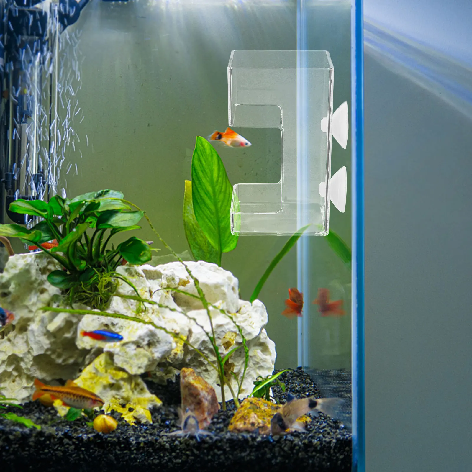 Transparent Floating Fish Feeding Aquarium Feeder Fish Tank Food Holder Suction Cup Reusable Feeding Holder
Transparent Floating Fish Feeding Aquarium Feeder Fish Tank Food Holder Suction Cup Reusable Feeding Holder