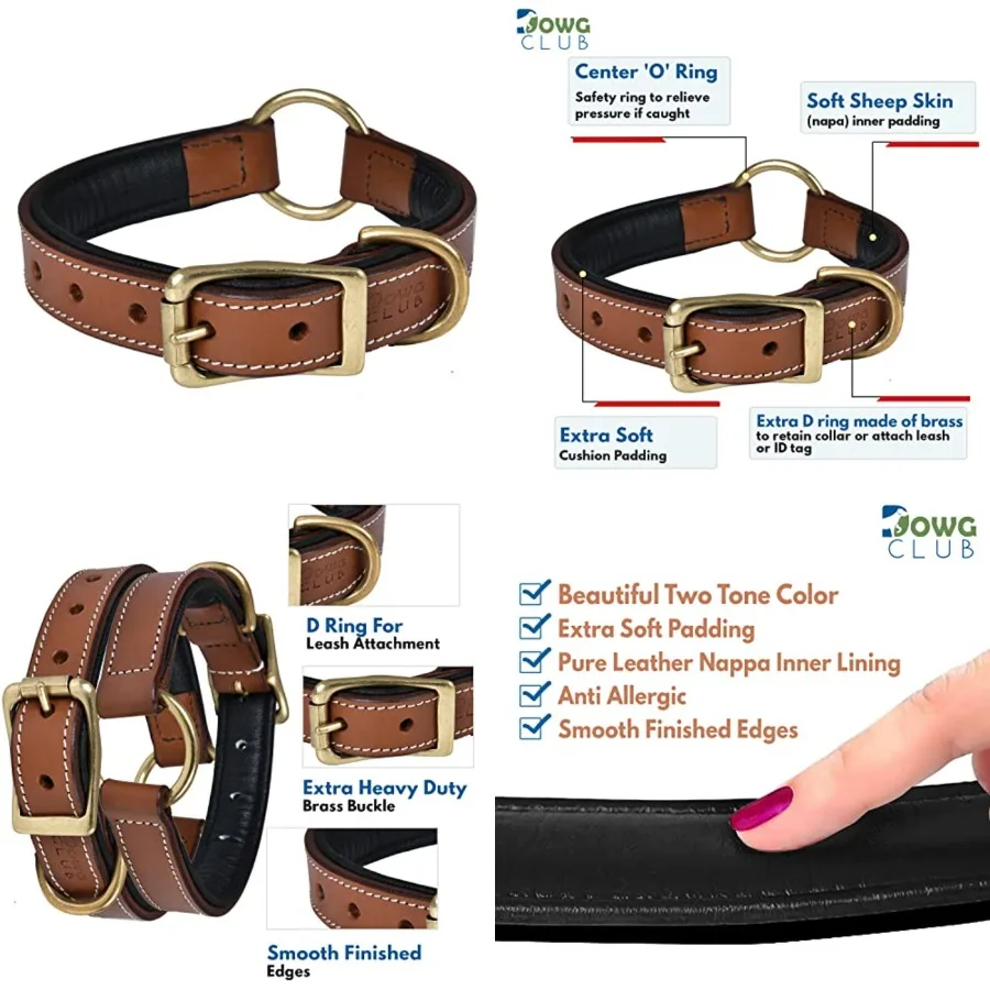 Genuine Leather Adventure Dog Collar Full Grain, Heavy Duty With inner Cushioned padding Best for Medium, Large and XL Dogs Lar
Genuine Leather Adventure Dog Collar Full Grain, Heavy Duty With inner Cushioned padding Best for Medium, Large and XL Dogs Lar