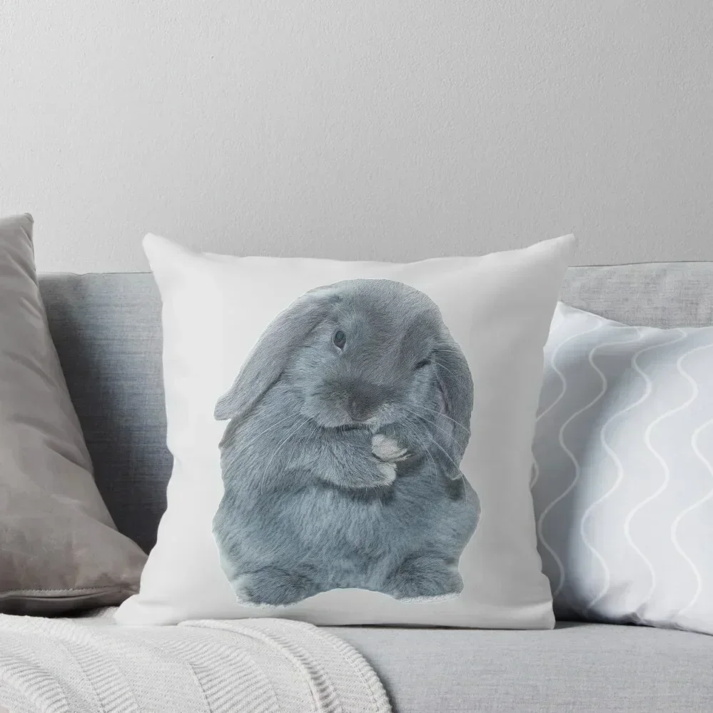 A Grey Mini Lop Bunny Rabbit Art Throw Pillow Luxury Cushion Cover Sofas Covers pillow
A Grey Mini Lop Bunny Rabbit Art Throw Pillow Luxury Cushion Cover Sofas Covers pillow