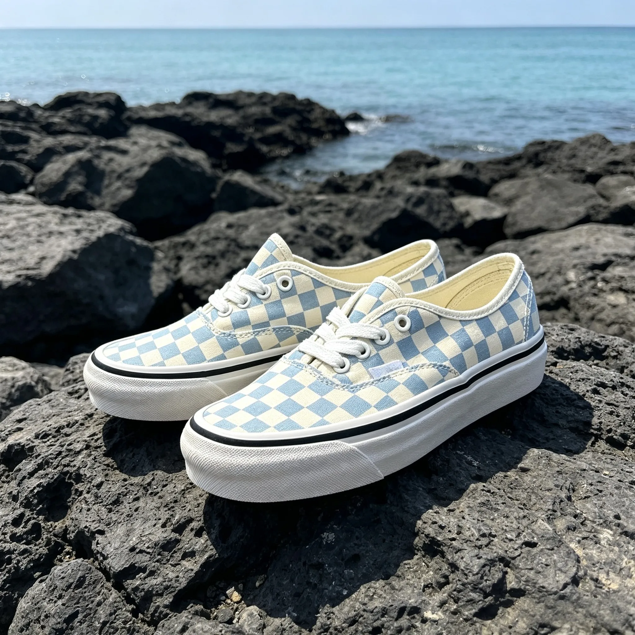 Trendy Student Casual Skate Footwear Unisex Blue Plaid Vintage Lightweight Canvas Sneakers
Trendy Student Casual Skate Footwear Unisex Blue Plaid Vintage Lightweight Canvas Sneakers