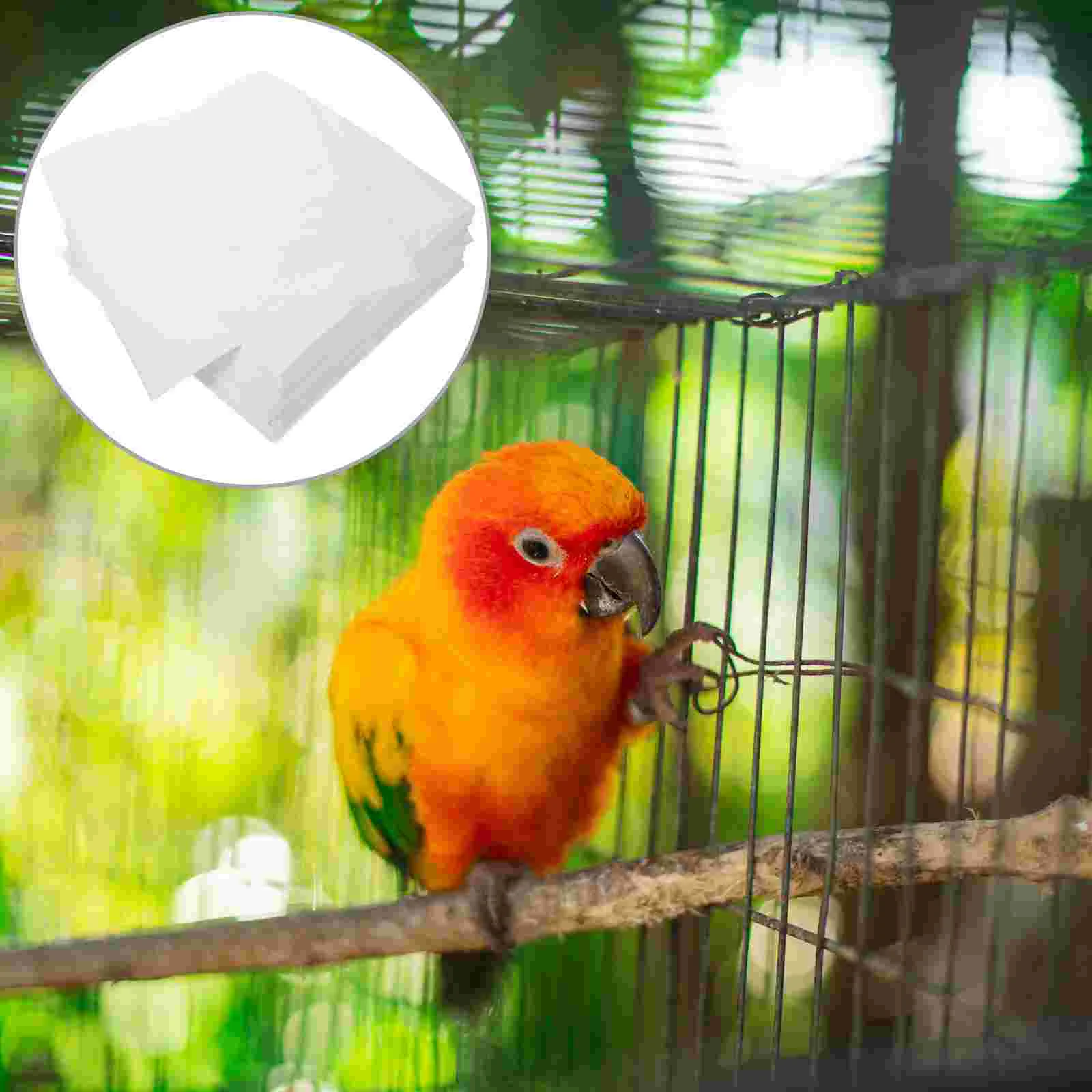 300pcs Birdcage Liners Absorbent Parrot Cage Sheets Non-woven Fabric Birdcage Mat
300pcs Birdcage Liners Absorbent Parrot Cage Sheets Non-woven Fabric Birdcage Mat