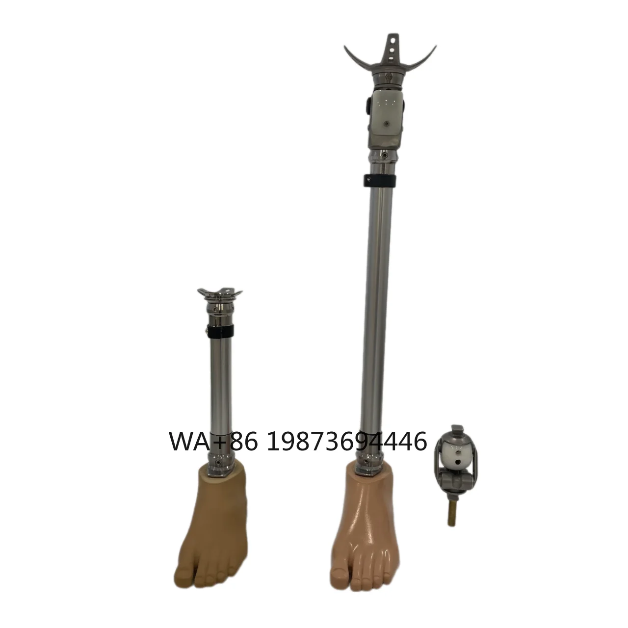 Aluminium and Steel Orthotics Prosthetic Leg Parts Below Knee Artificial Limb Orthopedic Leg Prosthesis
Aluminium and Steel Orthotics Prosthetic Leg Parts Below Knee Artificial Limb Orthopedic Leg Prosthesis