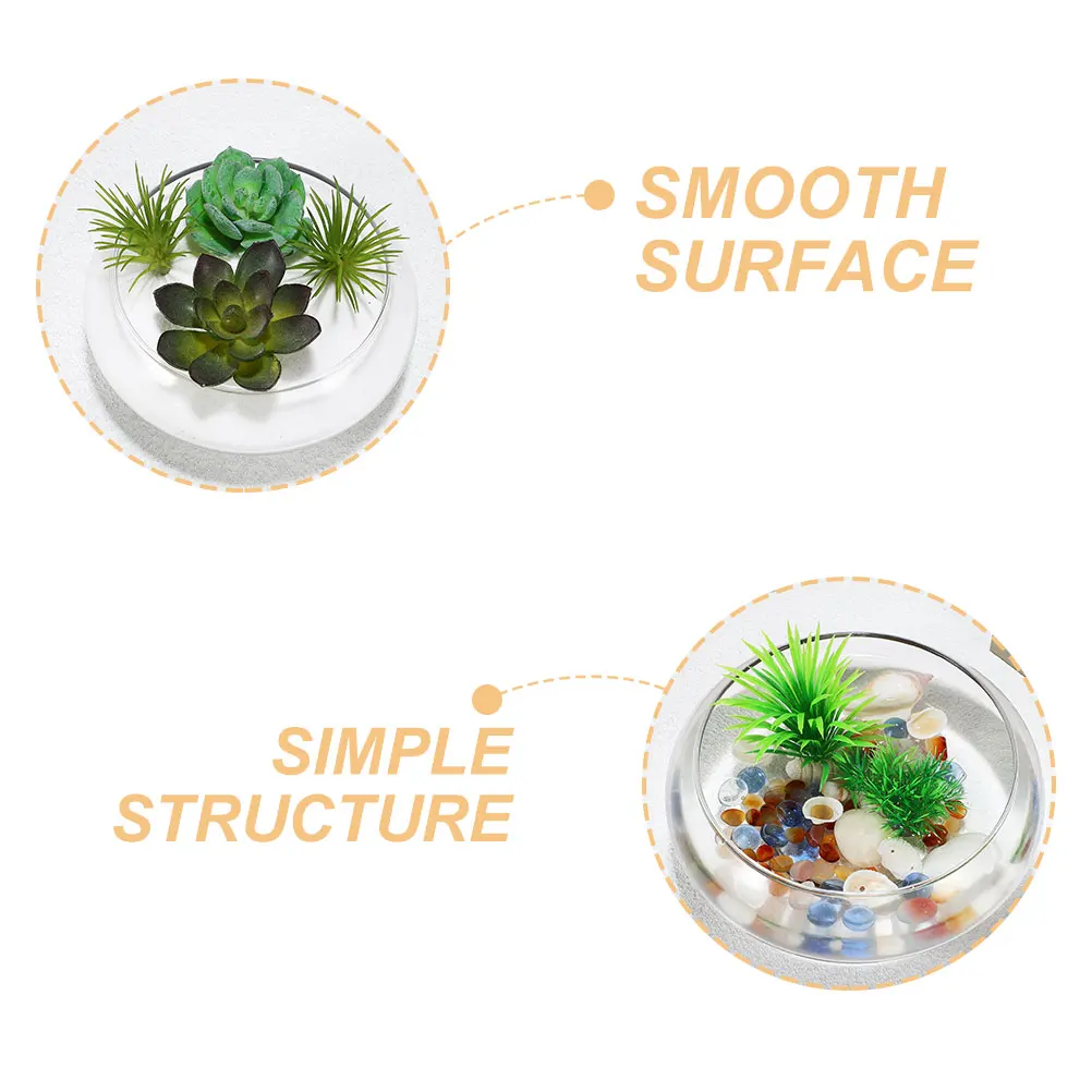 Succulent Planter Daffodil Pot Glass Flower Pots Narcissus Basin Fish Bowl Decor
Succulent Planter Daffodil Pot Glass Flower Pots Narcissus Basin Fish Bowl Decor