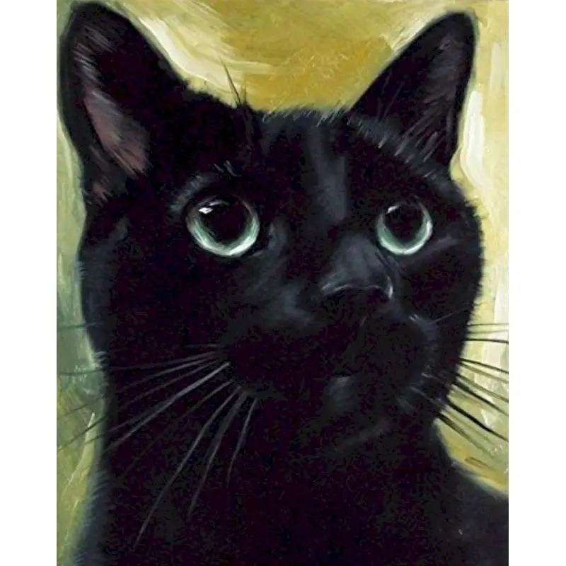 GATYZTORY Painting By Number Black Cat Drawing On Canvas HandPainted Paint Art Gift DIY Pictures By Number Home Decoration Kits
GATYZTORY Painting By Number Black Cat Drawing On Canvas HandPainted Paint Art Gift DIY Pictures By Number Home Decoration Kits