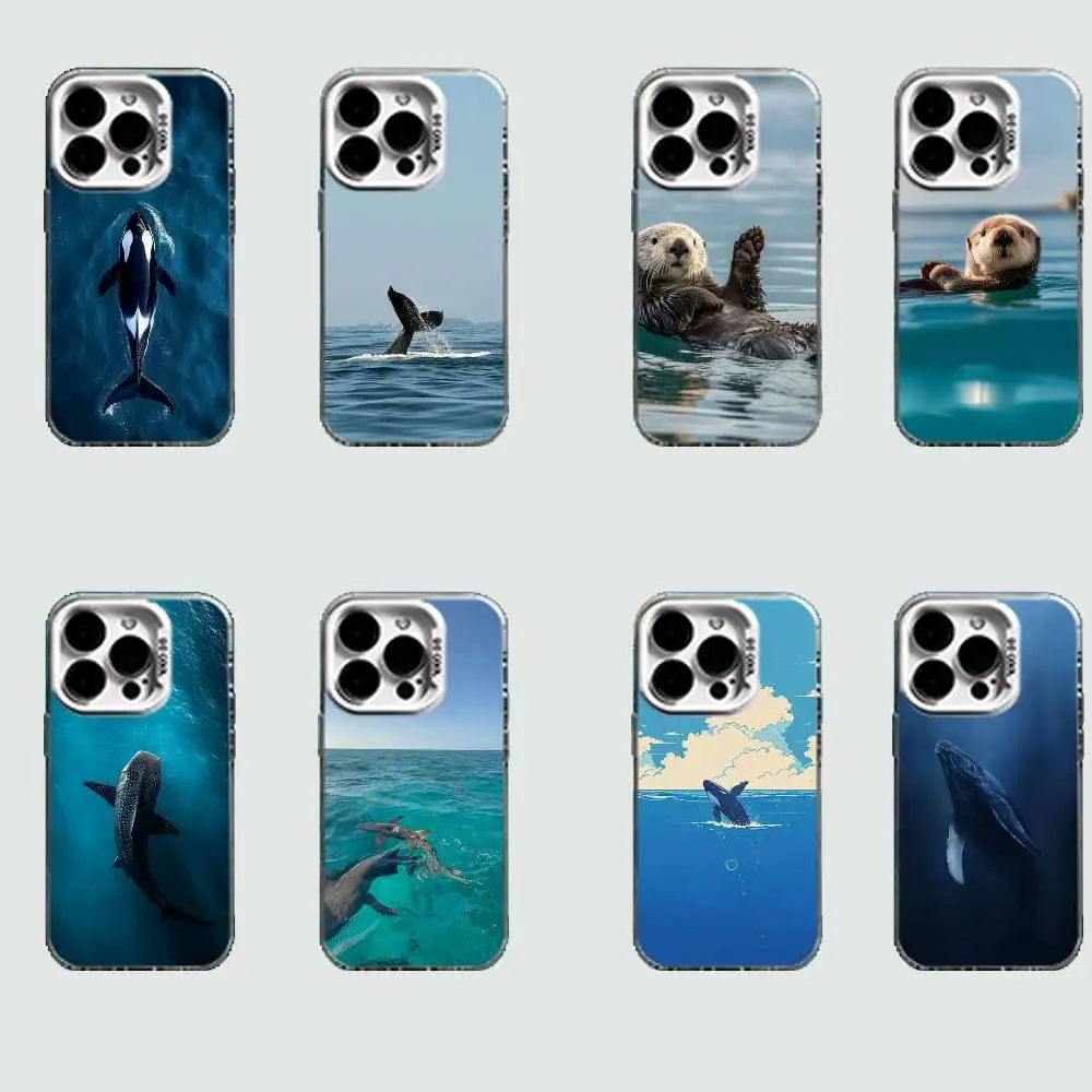 Beautiful Ocean x Marine Life Hard Phone Case for IPhone 16 15 14 13 12 11 Pro Max Plus16E X XR XS Max shockproof Full Cover
Beautiful Ocean x Marine Life Hard Phone Case for IPhone 16 15 14 13 12 11 Pro Max Plus16E X XR XS Max shockproof Full Cover