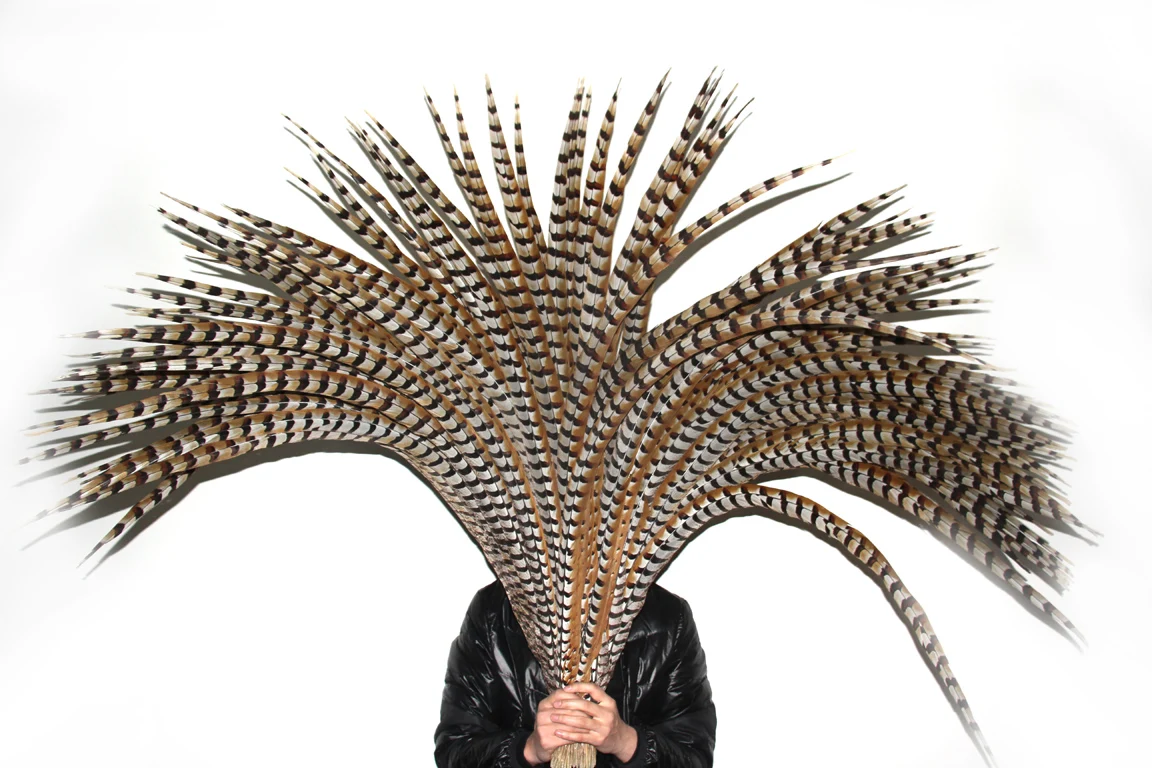 ZPDECOR Reeves Pheasant Feathers Package of 100 for Crafts And DIY Art
ZPDECOR Reeves Pheasant Feathers Package of 100 for Crafts And DIY Art
