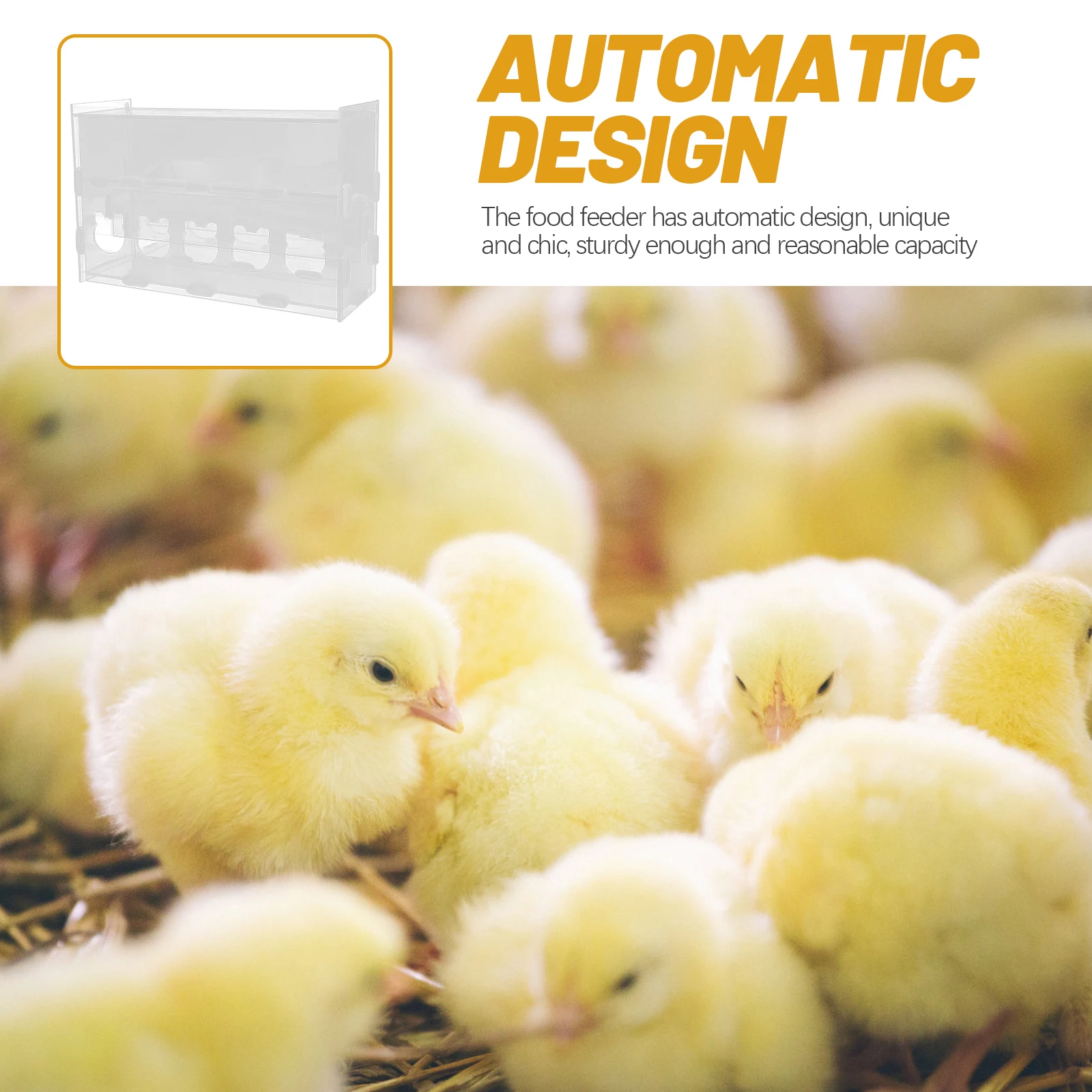 Acrylic Automatic Rutin Chicken Food Feeder Transparent Multi-Use Poultry Feeding Box Durable Convenient Feeder
Acrylic Automatic Rutin Chicken Food Feeder Transparent Multi-Use Poultry Feeding Box Durable Convenient Feeder