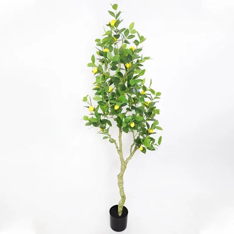 150cm Lemon Tree Simulated Green Plant with Fruits No Maintenance Fake Potted Fruit Tree Living Room Floor Artificial Plant
150cm Lemon Tree Simulated Green Plant with Fruits No Maintenance Fake Potted Fruit Tree Living Room Floor Artificial Plant