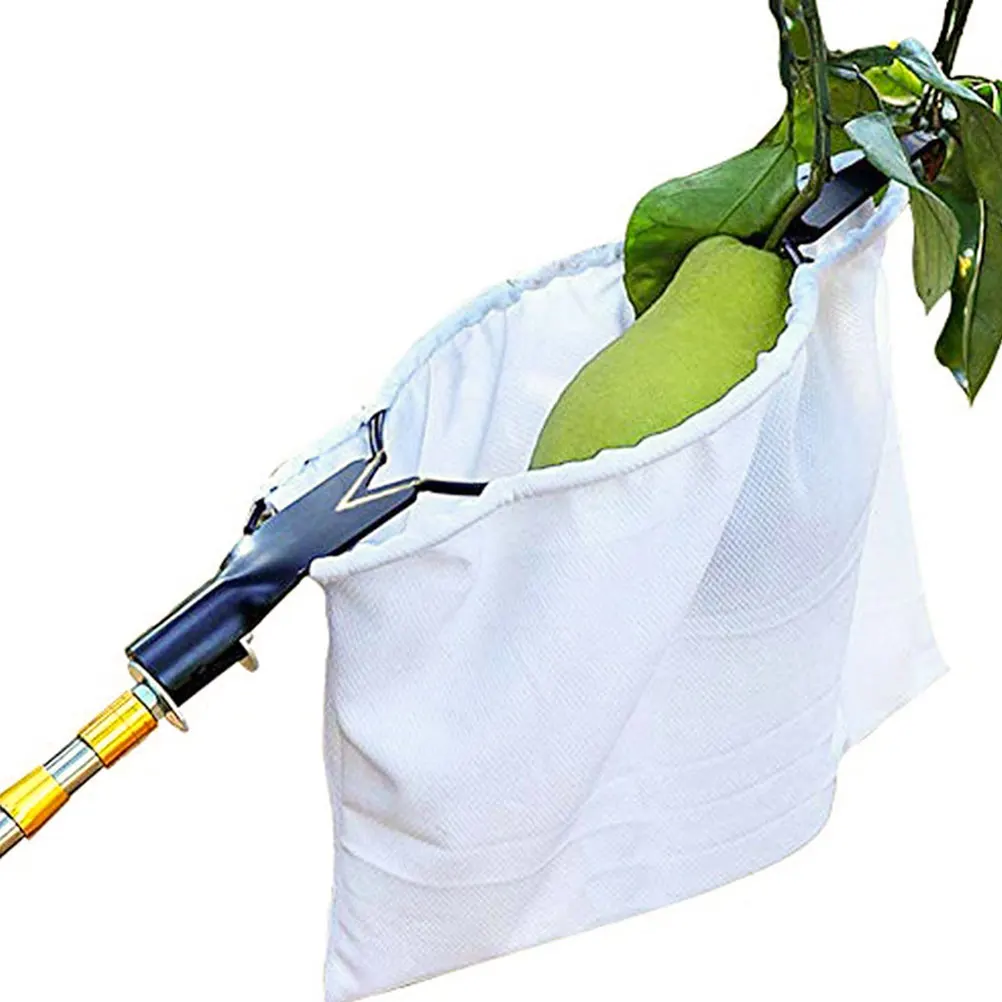 High Branch Shear Fruit Picker Apple Basket Garden Tool Picking Equipment Tree Long Handle Reusable Gardening Fruit Tool
High Branch Shear Fruit Picker Apple Basket Garden Tool Picking Equipment Tree Long Handle Reusable Gardening Fruit Tool