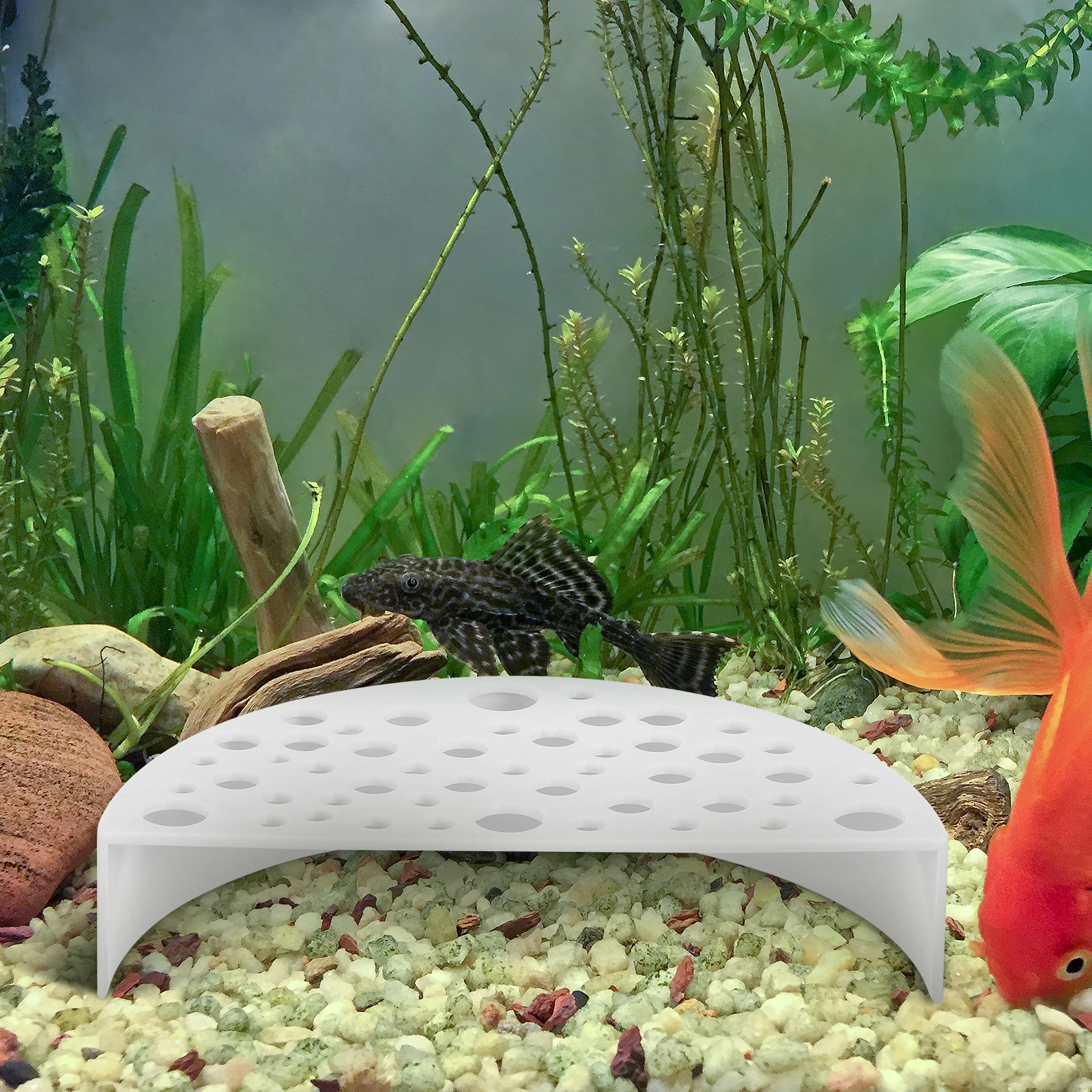 2 Pcs Shrimp Farming Protectors Comfortable Habitat Breeding Shelter Easy Clean Aquarium Hideout Fish Resting Spot Pet Supplies
2 Pcs Shrimp Farming Protectors Comfortable Habitat Breeding Shelter Easy Clean Aquarium Hideout Fish Resting Spot Pet Supplies