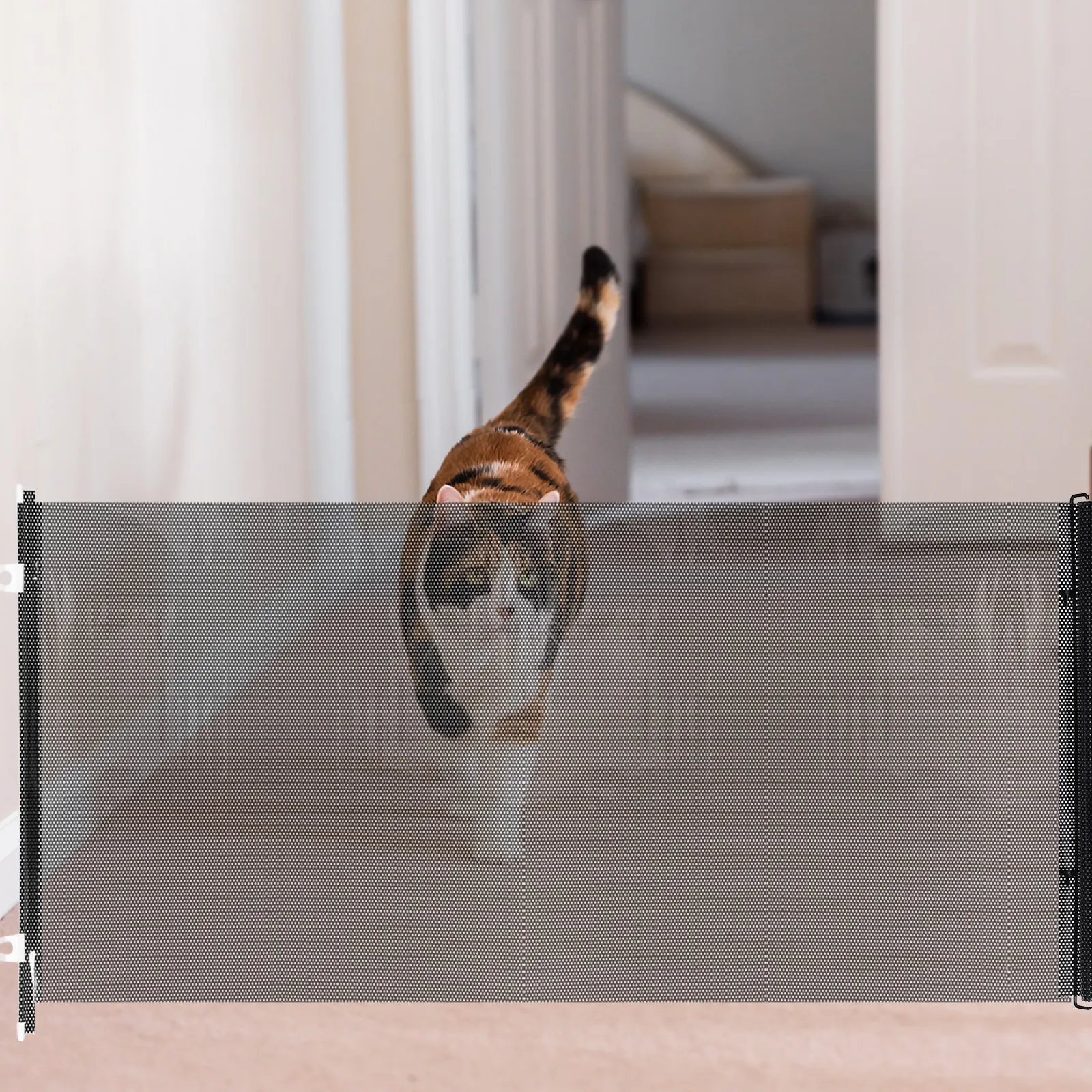 Retractable Pet Barrier Dog Gate No Drill 51.2x22.8x0.8in Adjustable Indoor Mesh Gate Doorway Stairs Flexible PVC Fence
Retractable Pet Barrier Dog Gate No Drill 51.2x22.8x0.8in Adjustable Indoor Mesh Gate Doorway Stairs Flexible PVC Fence