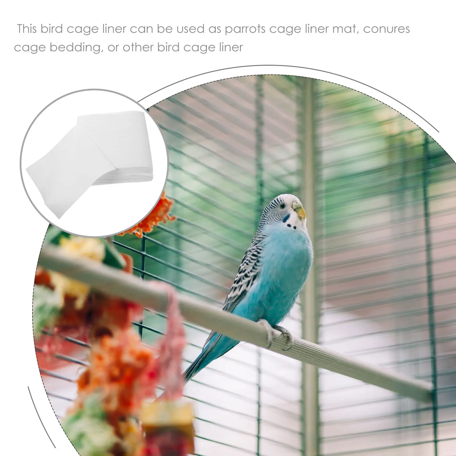 300 Pcs Waterproof Sheets Large Parrot Cage Liners Non Woven Disposable Bird Urine Pads Absorbent Mats Pet Supplies
300 Pcs Waterproof Sheets Large Parrot Cage Liners Non Woven Disposable Bird Urine Pads Absorbent Mats Pet Supplies