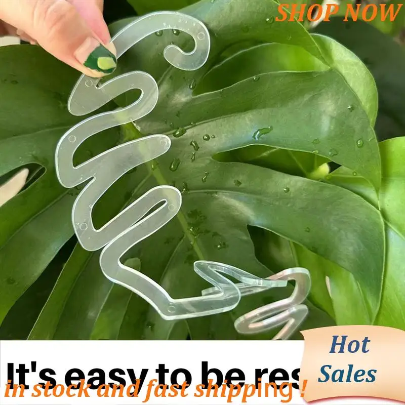 6PCS Turtle Shell Bamboo Clamp Plant Grapple, Plant Stakes For Indoor Plants Keeps Plants Growing Vertical A
6PCS Turtle Shell Bamboo Clamp Plant Grapple, Plant Stakes For Indoor Plants Keeps Plants Growing Vertical A