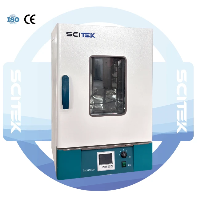 Forced Air Drying Oven 30L Industrial Drying Oven for Laboratory Oven
Forced Air Drying Oven 30L Industrial Drying Oven for Laboratory Oven