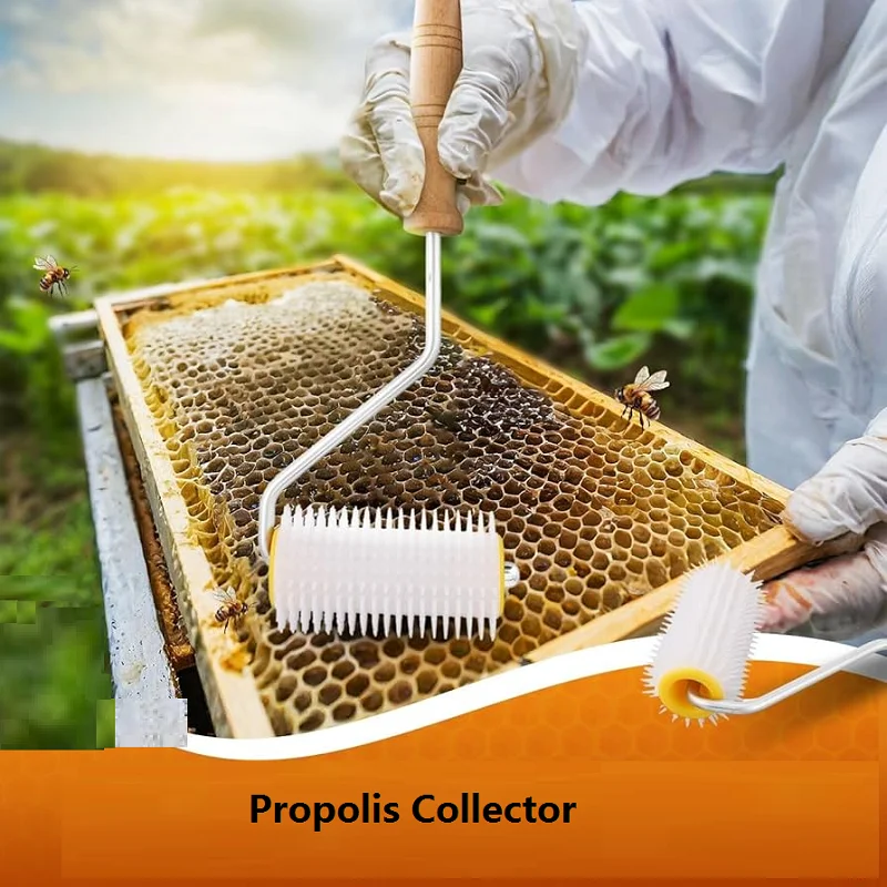 Needle Roller Type Propolis Collector Honey Uncapping Roller Bee Honey Extractor Beehive Extracting Roller Beekeeping Tools
Needle Roller Type Propolis Collector Honey Uncapping Roller Bee Honey Extractor Beehive Extracting Roller Beekeeping Tools