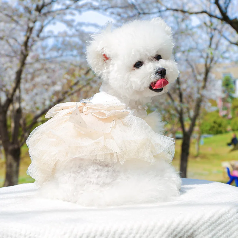 Pet Dog Cat Wedding Dress Spring Summer Princess Gown, Cute Puppy Girl Bridal Party Outfit with Veil Pet Clothing
Pet Dog Cat Wedding Dress Spring Summer Princess Gown, Cute Puppy Girl Bridal Party Outfit with Veil Pet Clothing