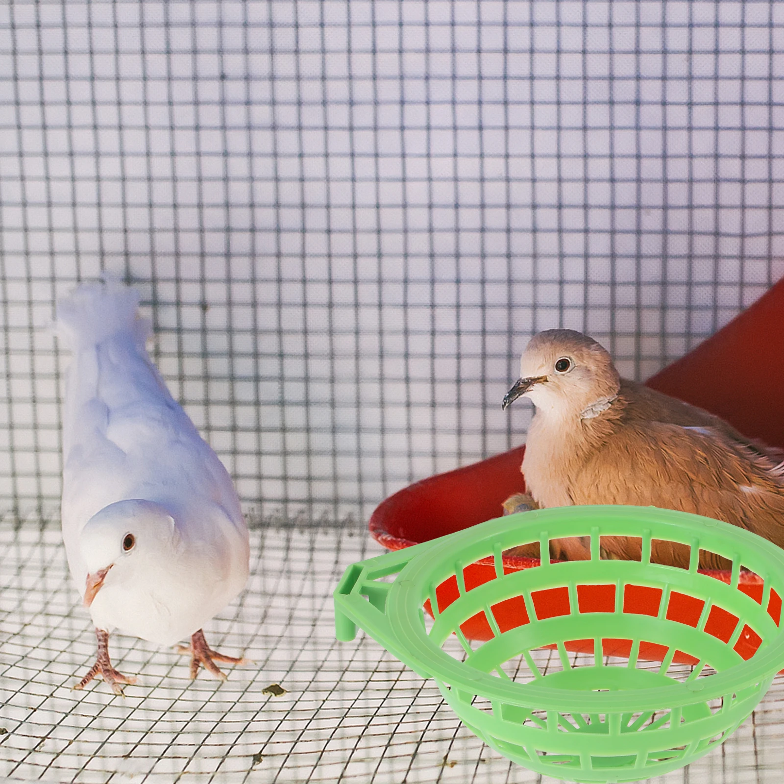 2pcs Large Bird Nest Basin Green Suitable Home Pet Store Easy Install Remove Plastic Supplies Parrot Stable Long
2pcs Large Bird Nest Basin Green Suitable Home Pet Store Easy Install Remove Plastic Supplies Parrot Stable Long