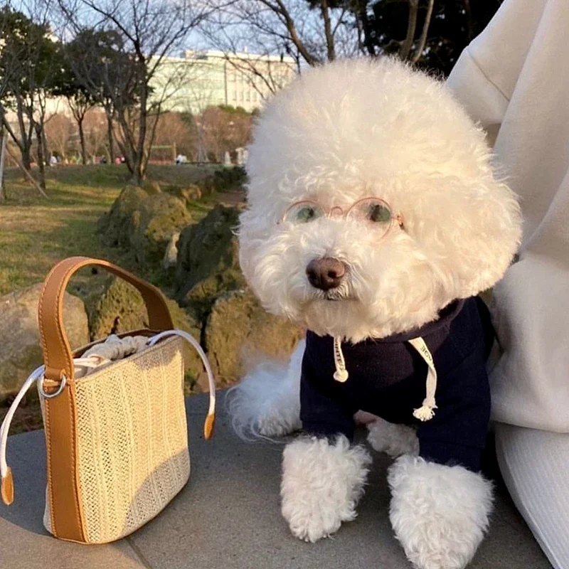 Autumn Dog Pullover Hoodie Winter Warm Coat Solid Clothing for Small Medium Large Dog Jacket Teddy Bichon Costume Pet Supplies
Autumn Dog Pullover Hoodie Winter Warm Coat Solid Clothing for Small Medium Large Dog Jacket Teddy Bichon Costume Pet Supplies
