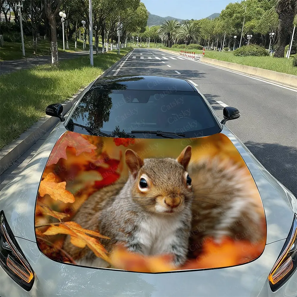 Наклейка на капот автомобиля Squirrels In Fallen Leaves - брызгозащищенная виниловая пленка, легко снимается, прочная подходит для капота двигателя автомобиля D
Наклейка на капот автомобиля Squirrels In Fallen Leaves - брызгозащищенная виниловая пленка, легко снимается, прочная подходит для капота двигателя автомобиля D