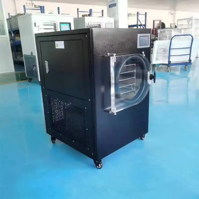 Food Lyophilizer Price Fruit Mini Vegetable Drying Hine With CE - Home And Vacuum Freeze Dryer
Food Lyophilizer Price Fruit Mini Vegetable Drying Hine With CE - Home And Vacuum Freeze Dryer