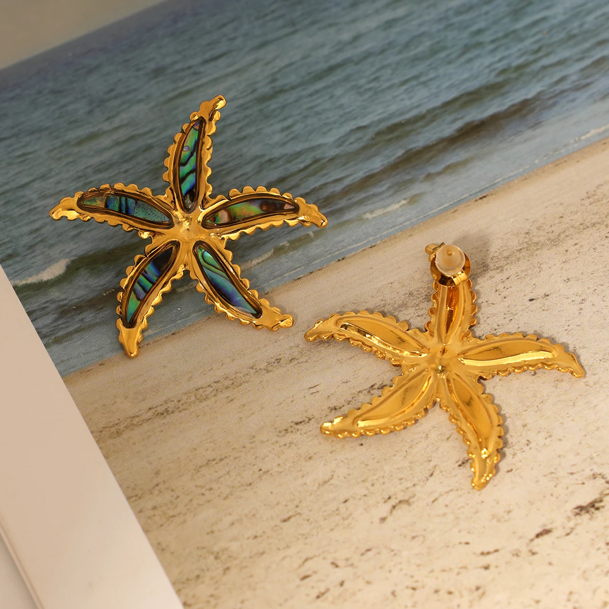 Ocean Style Imitation Starfish Stud Earrings Stainless Steel Casting Exquisite Summer Holiday Beach Jewelry Gift New in 2025
Ocean Style Imitation Starfish Stud Earrings Stainless Steel Casting Exquisite Summer Holiday Beach Jewelry Gift New in 2025