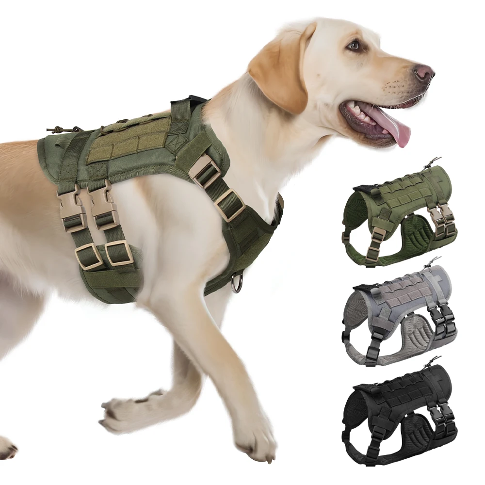 Big dog harness dog ves
Big dog harness dog ves