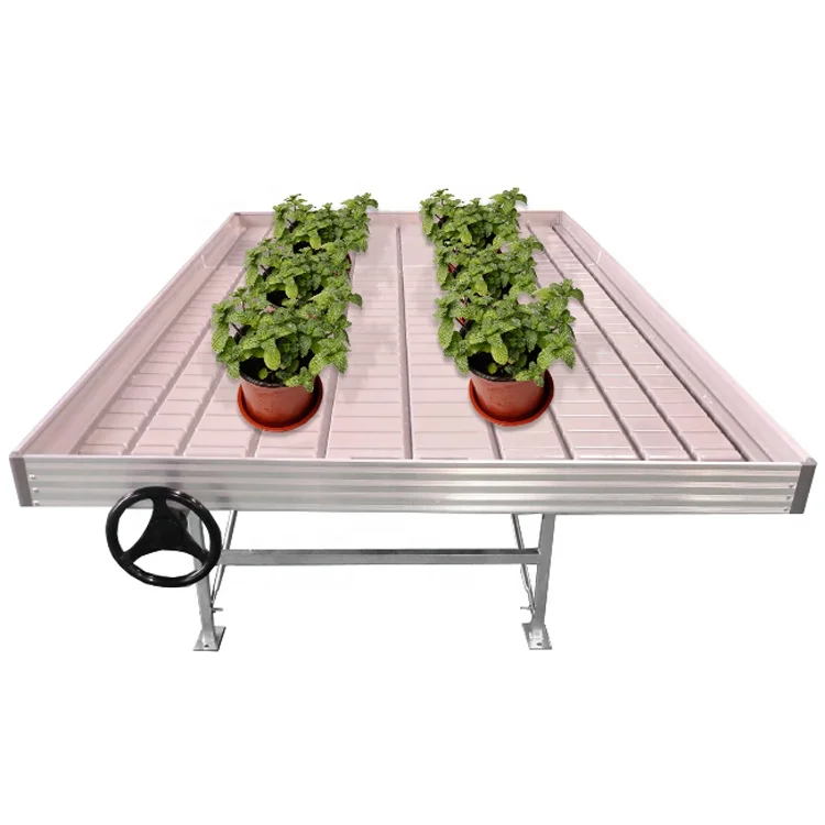 Annual best-selling products:1 Greenhouse 4 FT X 8 FT High Quality Greenhouse Rolling Bench for Sale
Annual best-selling products:1 Greenhouse 4 FT X 8 FT High Quality Greenhouse Rolling Bench for Sale