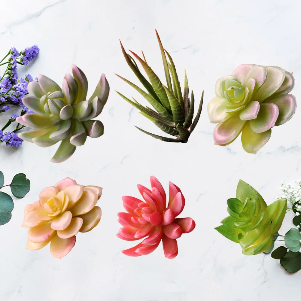 6Pcs Simulated Succulent Ornaments Lightweight Realistic Fake Succulent Plants Desktop Home Office Plastic Plant Decor
6Pcs Simulated Succulent Ornaments Lightweight Realistic Fake Succulent Plants Desktop Home Office Plastic Plant Decor